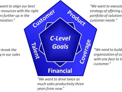 C-Level Goals