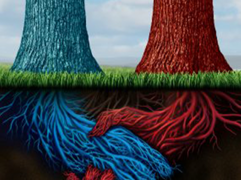 Common-Pitfalls-of-Mergers-and-Acquisitions